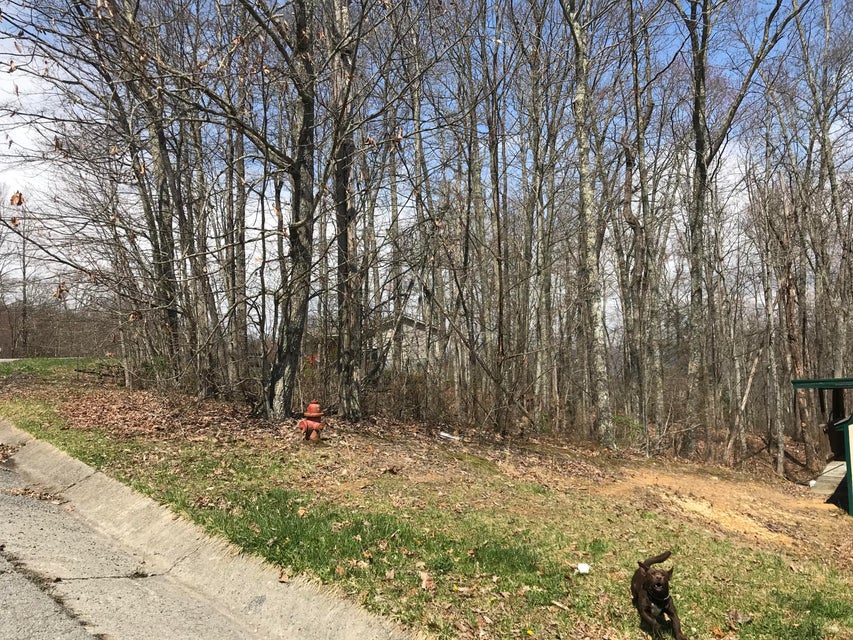 Photo #3: Tbd Morris Circle