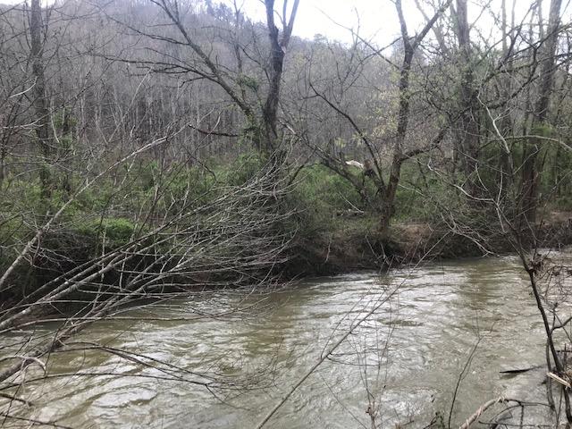 Photo #3: 0 Spruce Pine
