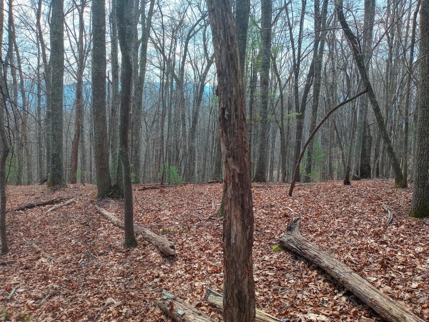 Photo #1: Tbd Mine Ridge Road