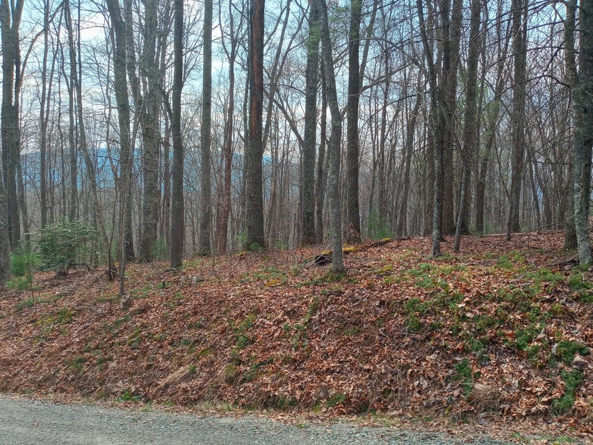Photo #5: Tbd Mine Ridge Road