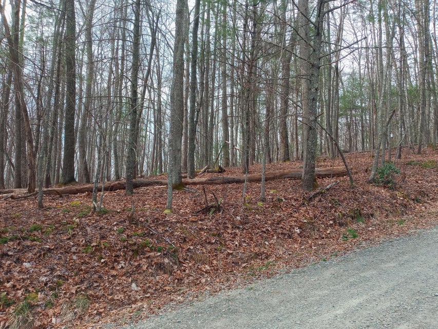 Photo #6: Tbd Mine Ridge Road