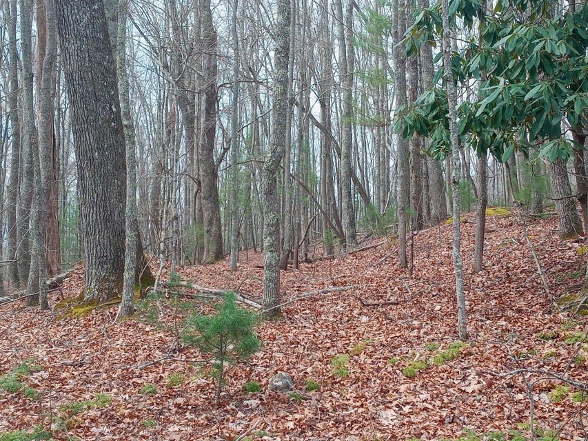 Photo #7: Tbd Mine Ridge Road