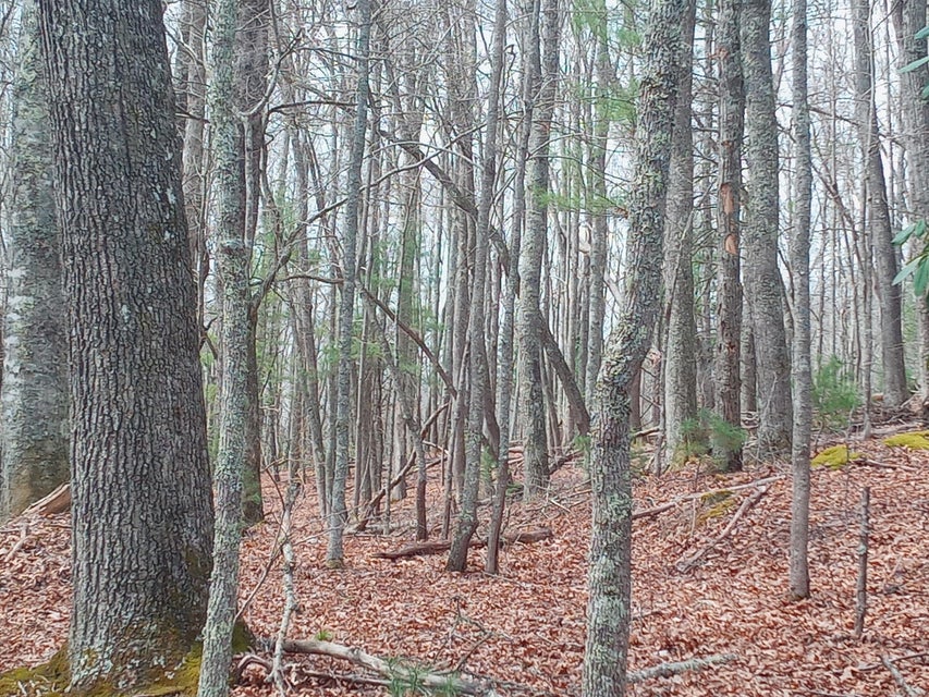 Photo #8: Tbd Mine Ridge Road