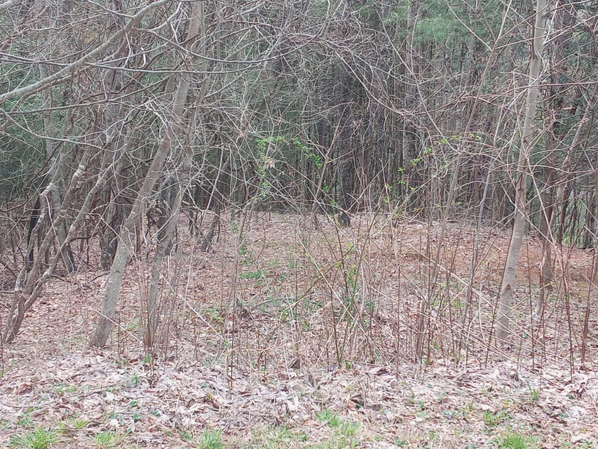 Photo #9: Tbd Ridgeview Drive