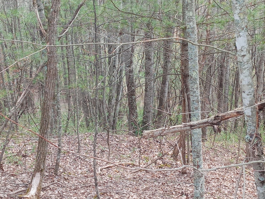 Photo #10: Tbd Ridgeview Drive