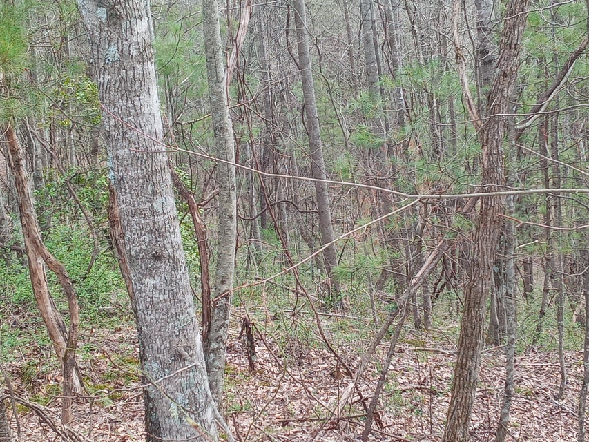 Photo #11: Tbd Ridgeview Drive