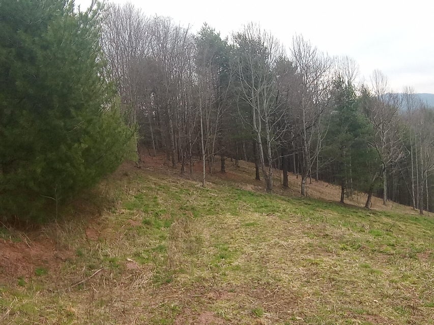 Photo #4: Tbd Ridgeview Drive