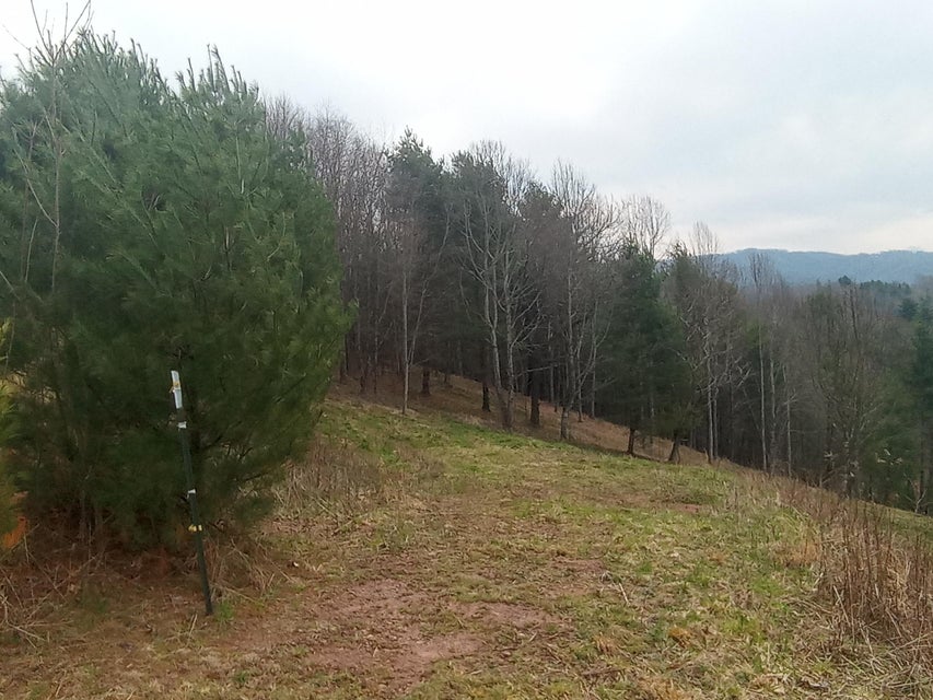 Photo #6: Tbd Ridgeview Drive