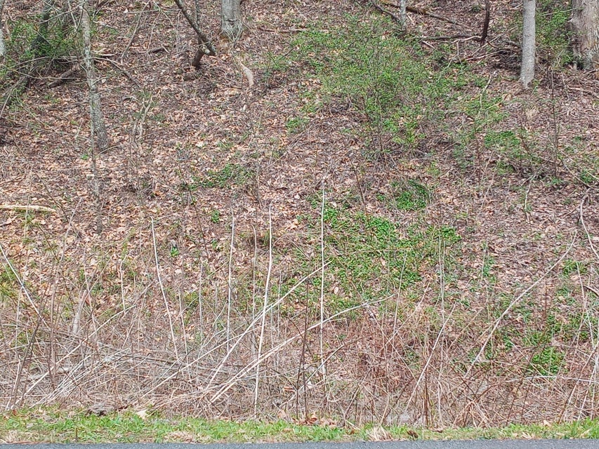 Photo #4: Tbd Ridgeview Drive