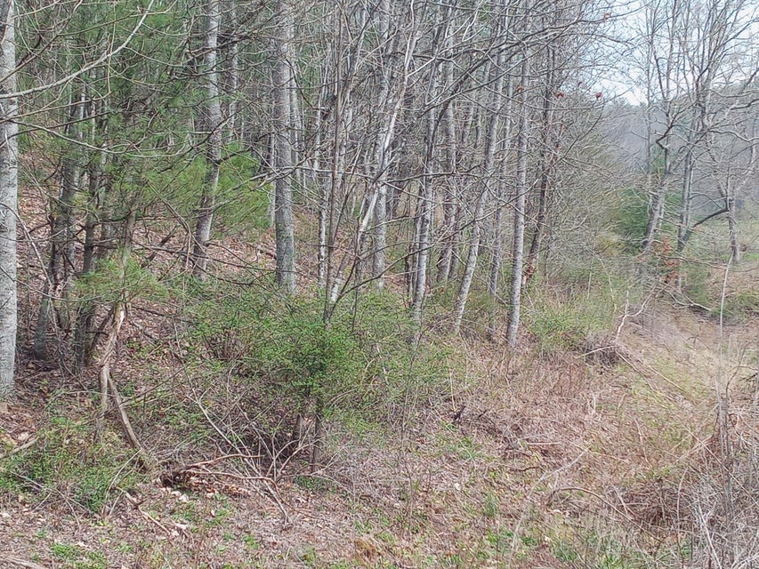 Photo #5: Tbd Ridgeview Drive