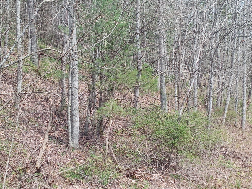Photo #6: Tbd Ridgeview Drive