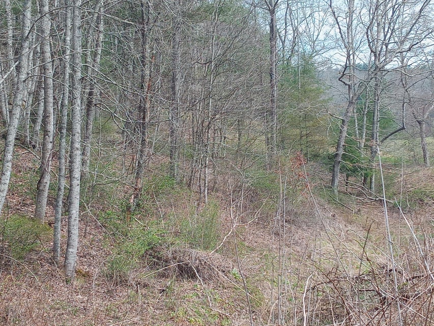 Photo #7: Tbd Ridgeview Drive
