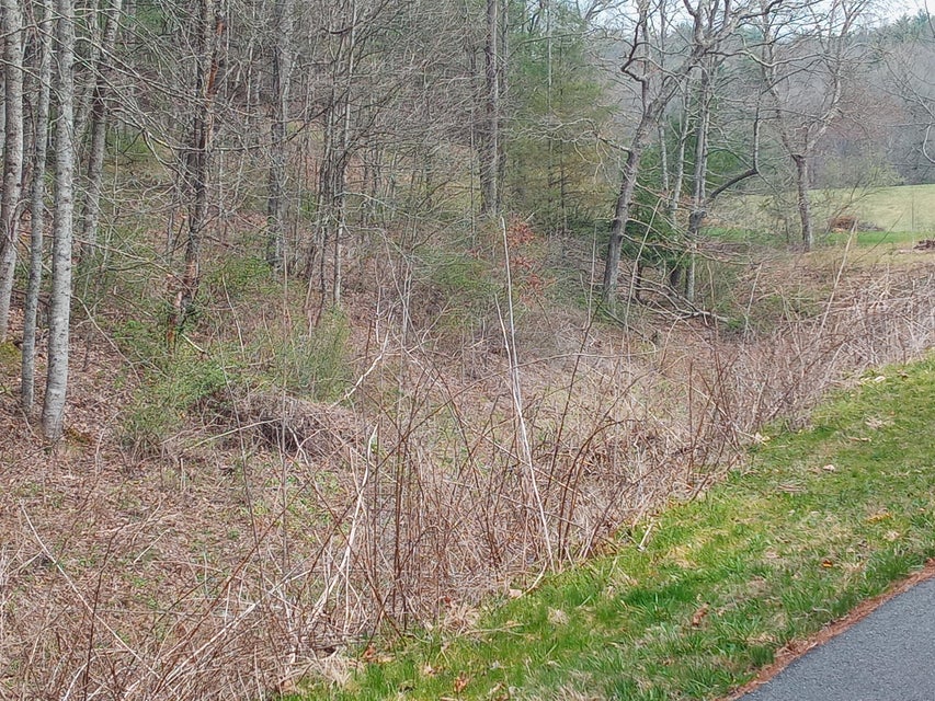 Photo #9: Tbd Ridgeview Drive