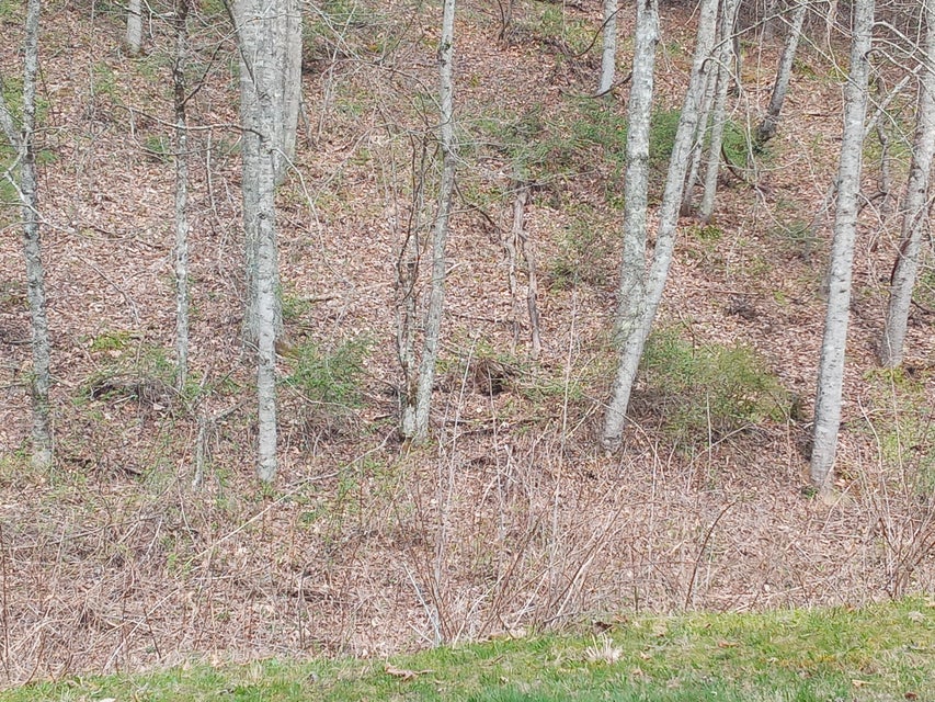 Photo #10: Tbd Ridgeview Drive