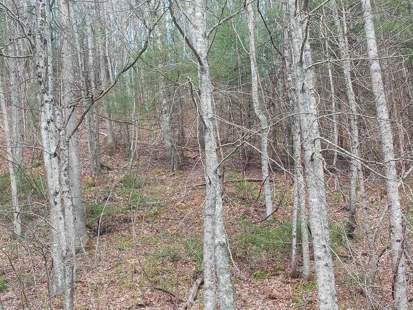 Photo #14: Tbd Ridgeview Drive
