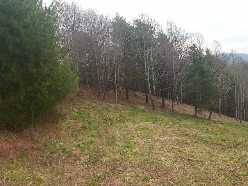 Photo #18: Tbd Ridgeview Drive