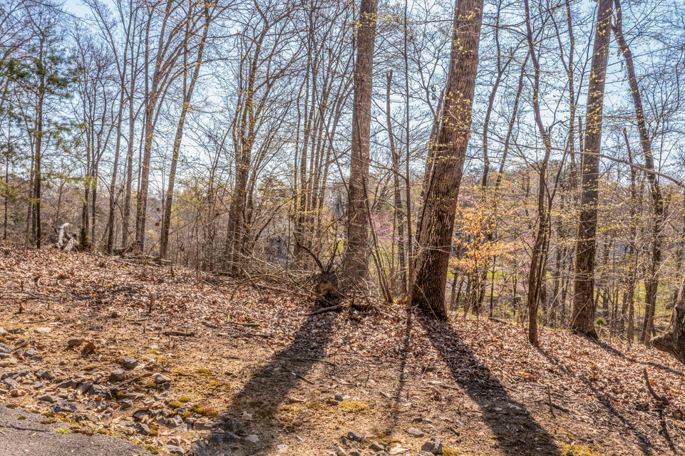 Photo #6: 1523 Catoosa Drive