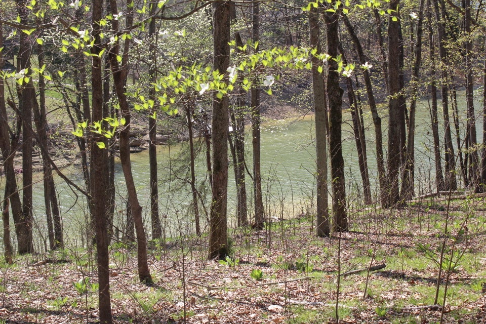 Photo #19: 1523 Catoosa Drive