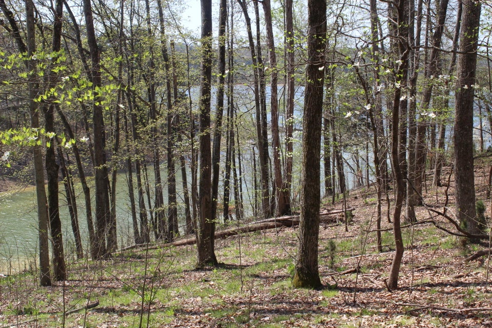 Photo #20: 1523 Catoosa Drive