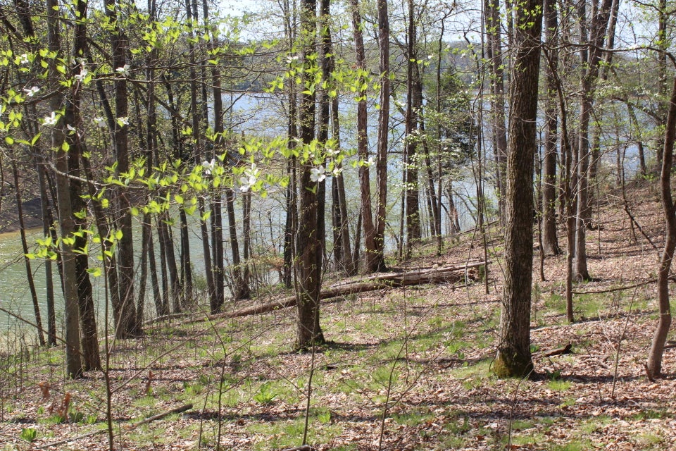 Photo #21: 1523 Catoosa Drive