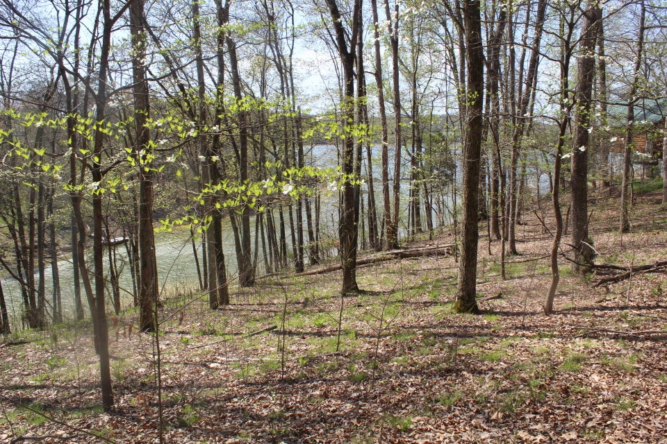 Photo #22: 1523 Catoosa Drive