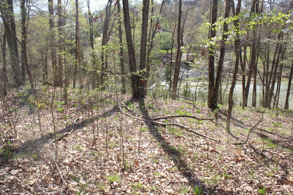 Photo #23: 1523 Catoosa Drive