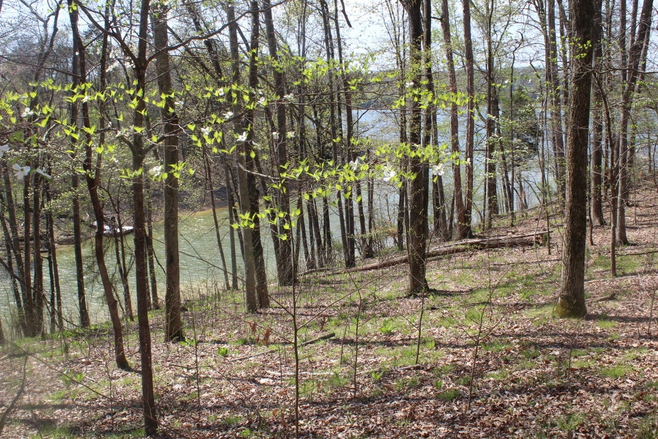 Photo #24: 1523 Catoosa Drive