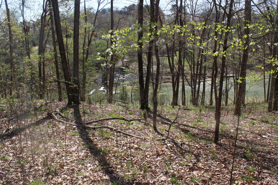 Photo #25: 1523 Catoosa Drive
