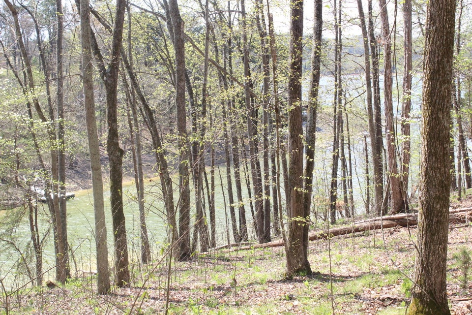 Photo #26: 1523 Catoosa Drive