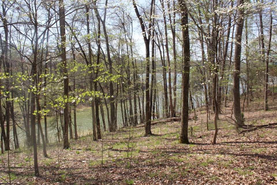 Photo #28: 1523 Catoosa Drive