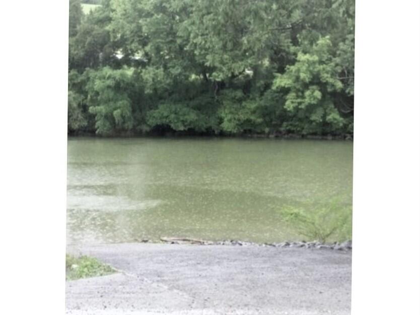 Photo #4: 4208 Anchor Pointe Drive