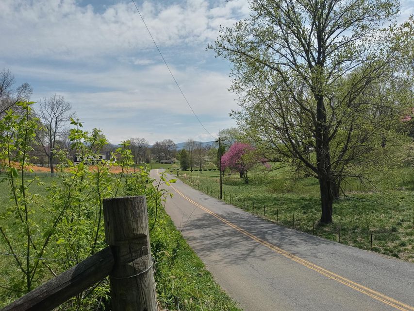 Photo #4: 309 Sells Road