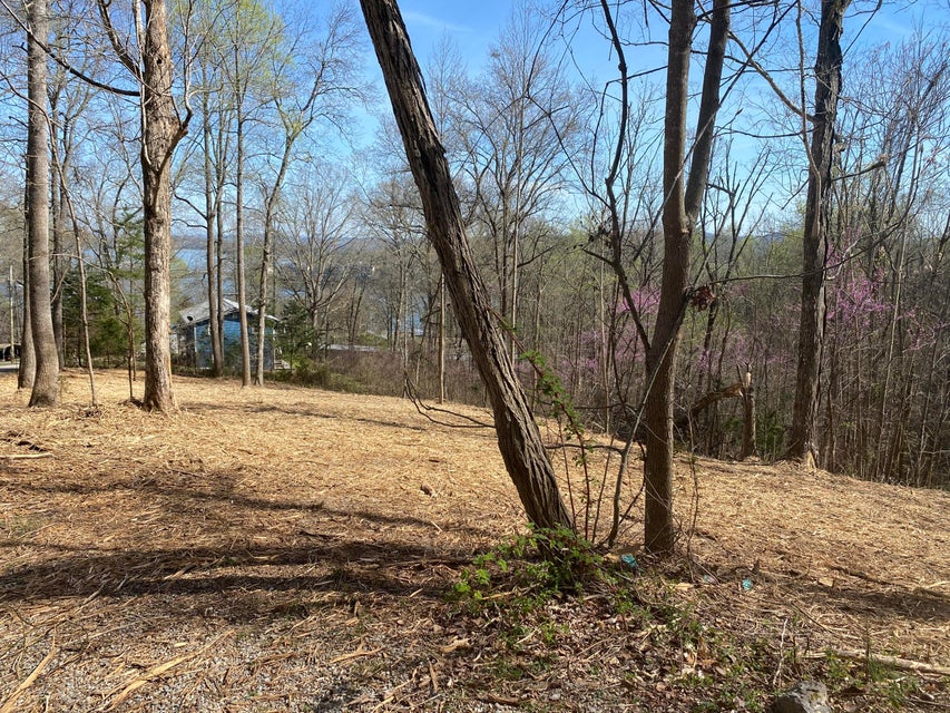 Photo #4: Lots 6 & 7 Hilltop View Ln