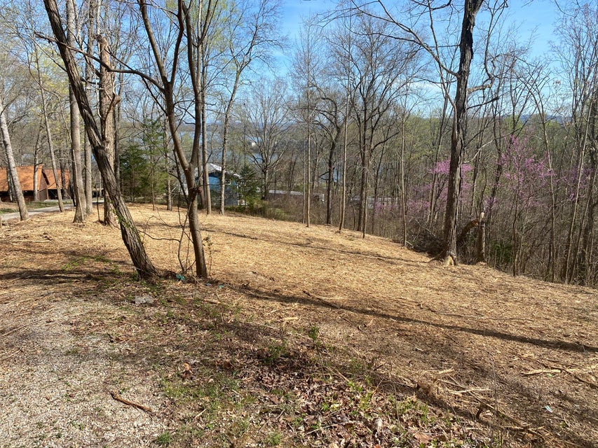 Photo #5: Lots 6 & 7 Hilltop View Ln