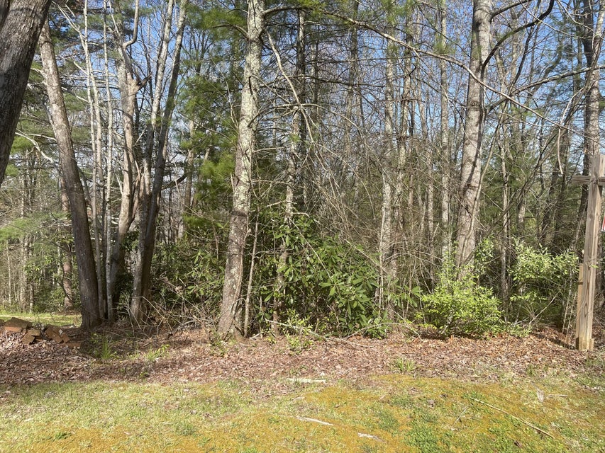 Photo #2: Tbd Cherokee Circle