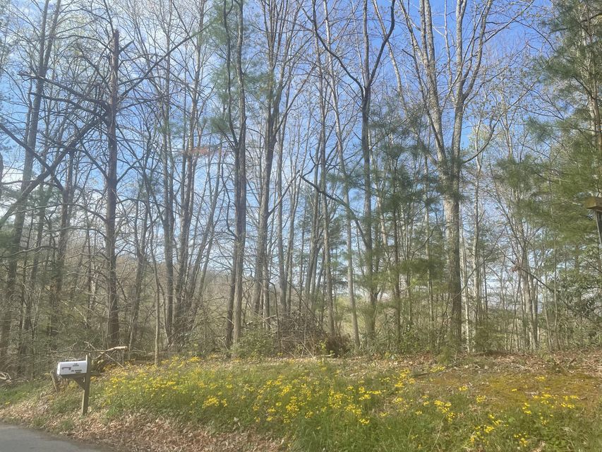 Photo #1: Tbd Cherokee Circle