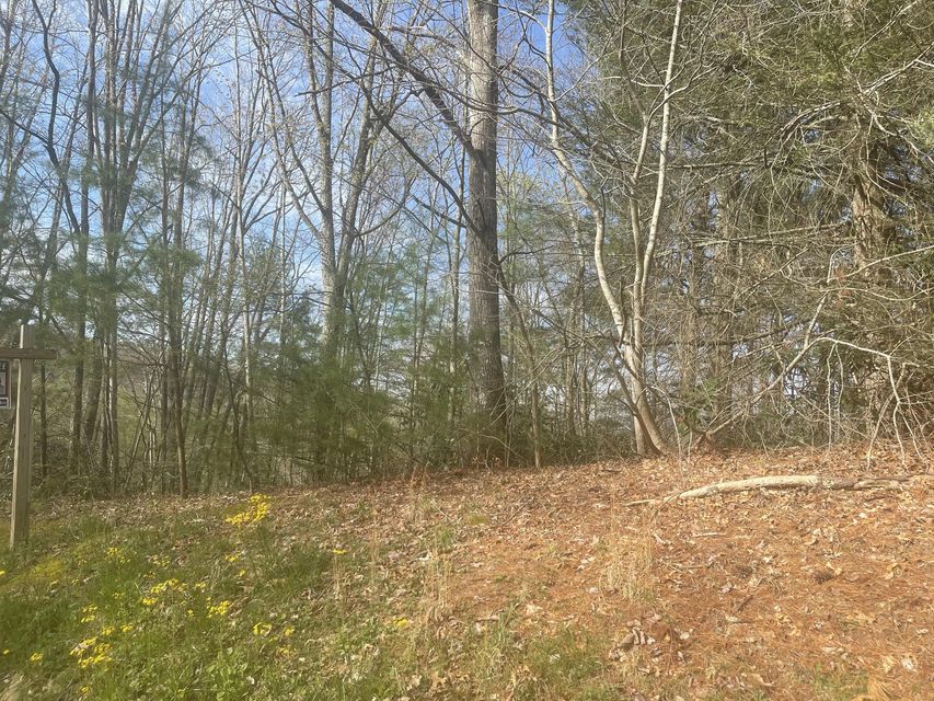 Photo #2: Tbd Cherokee Circle
