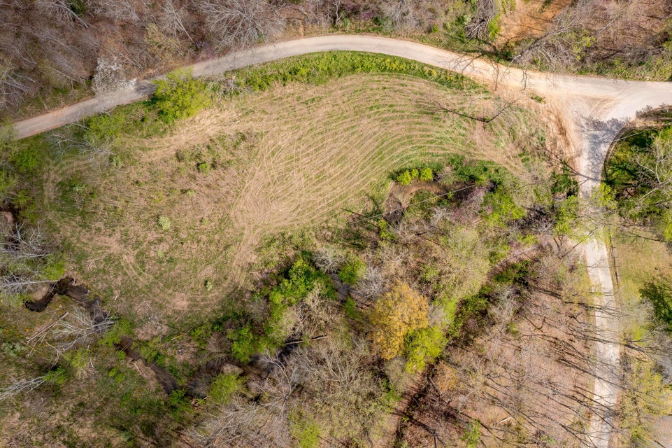 Photo #11: Tbd Sensabaugh Hollow Road