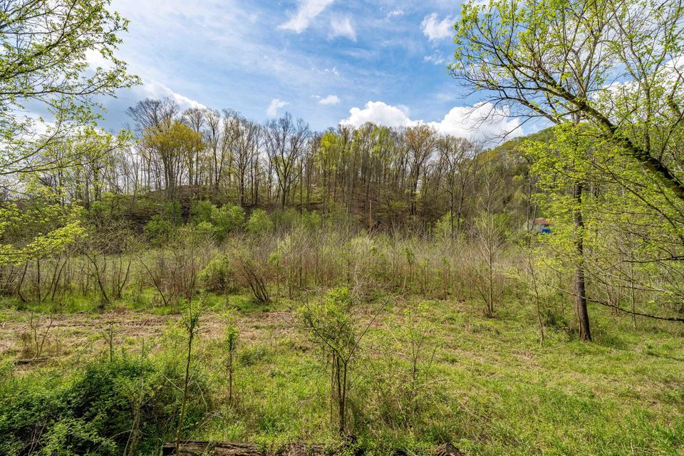Photo #16: Tbd Sensabaugh Hollow Road