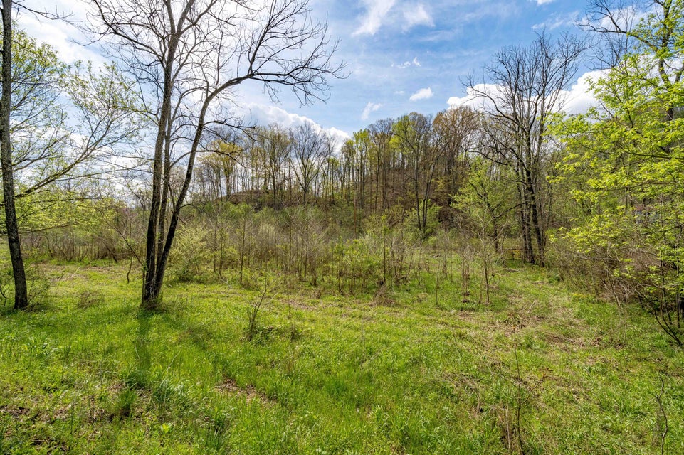 Photo #17: Tbd Sensabaugh Hollow Road