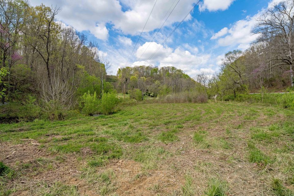 Photo #18: Tbd Sensabaugh Hollow Road