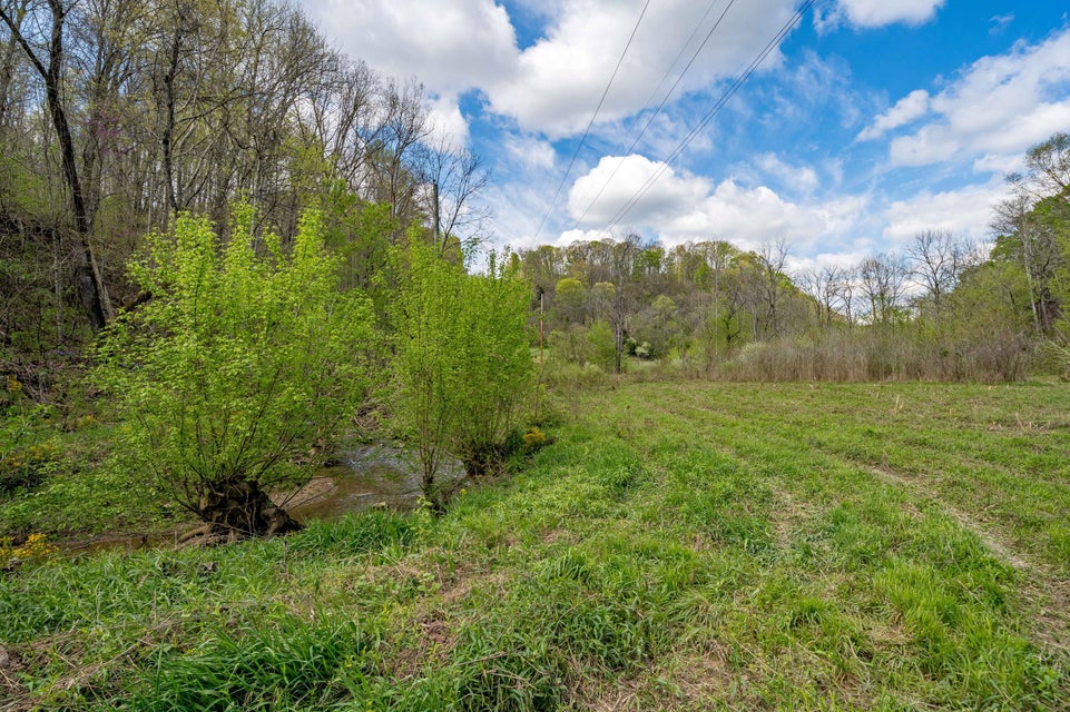 Photo #19: Tbd Sensabaugh Hollow Road