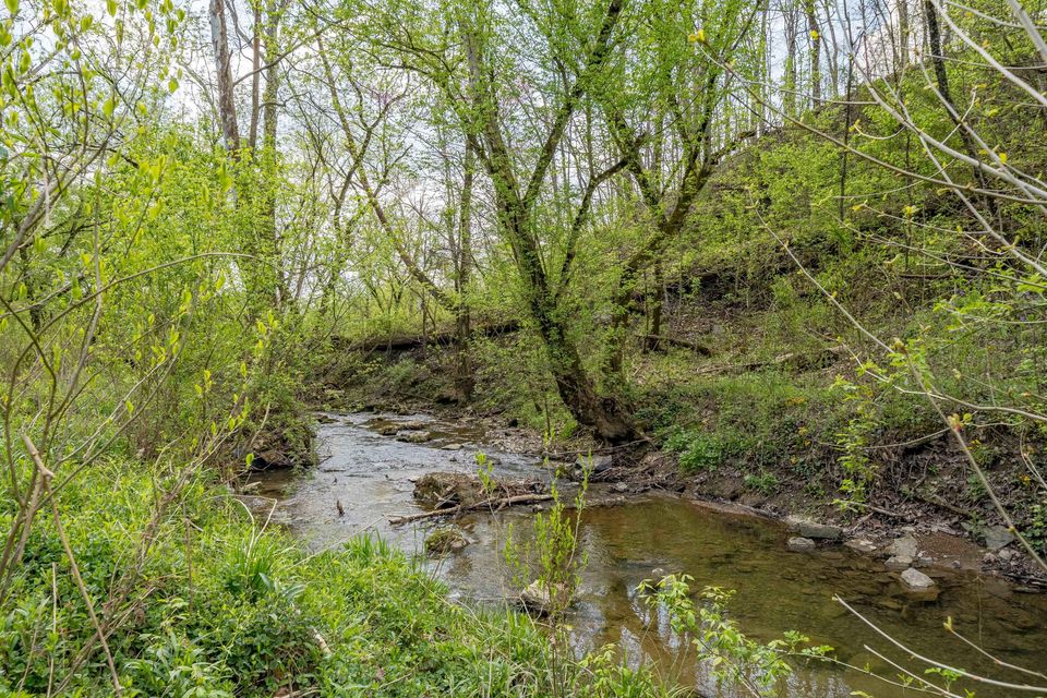 Photo #20: Tbd Sensabaugh Hollow Road
