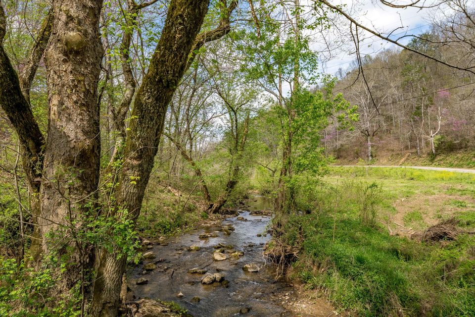 Photo #21: Tbd Sensabaugh Hollow Road