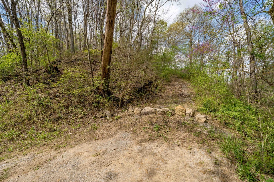 Photo #22: Tbd Sensabaugh Hollow Road