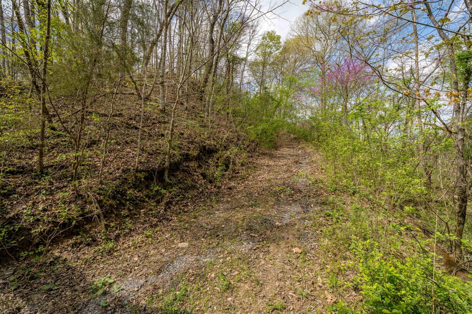 Photo #23: Tbd Sensabaugh Hollow Road