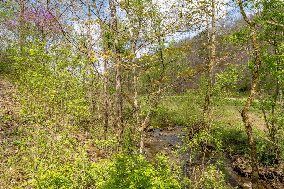 Photo #24: Tbd Sensabaugh Hollow Road
