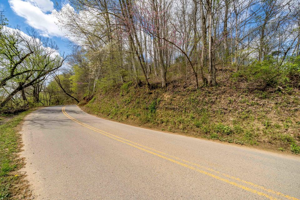 Photo #25: Tbd Sensabaugh Hollow Road