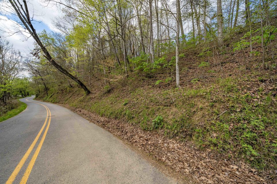 Photo #26: Tbd Sensabaugh Hollow Road
