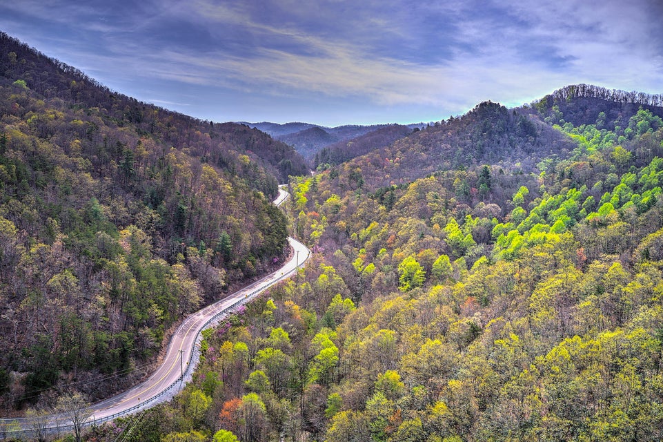 Photo #2: 00 Asheville Highway